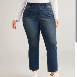 BloomChic Plus Size 3XL Vintage Straight Leg Elastic Waist Jeans us24